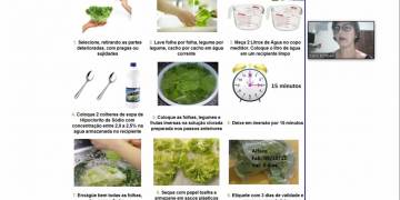 Empreendedoras participam de oficina virtual sobre segurança alimentar