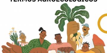 Tabôa e Rede Povos da Mata lançam Glossário de Termos Agroecológicos