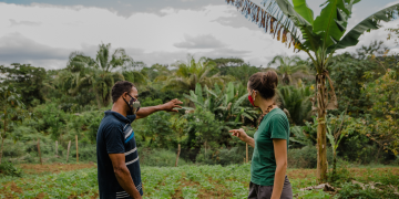 Tabôa e Rede Povos da Mata impulsionam produção agroecológica na Bahia