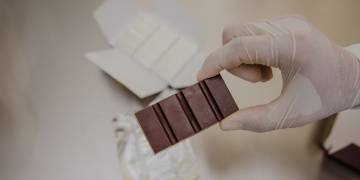 Famílias agricultoras investem no beneficiamento de amêndoas de cacau fino para produção de chocolate