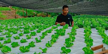 Entre a terra e a água, um novo cultivo de possibilidades